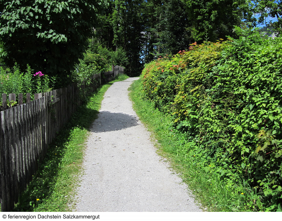 Trek Safari - Nenáročná turistika v Solné komoře 11